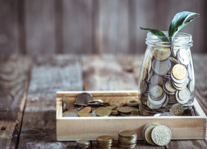 bank with coins and green sprout